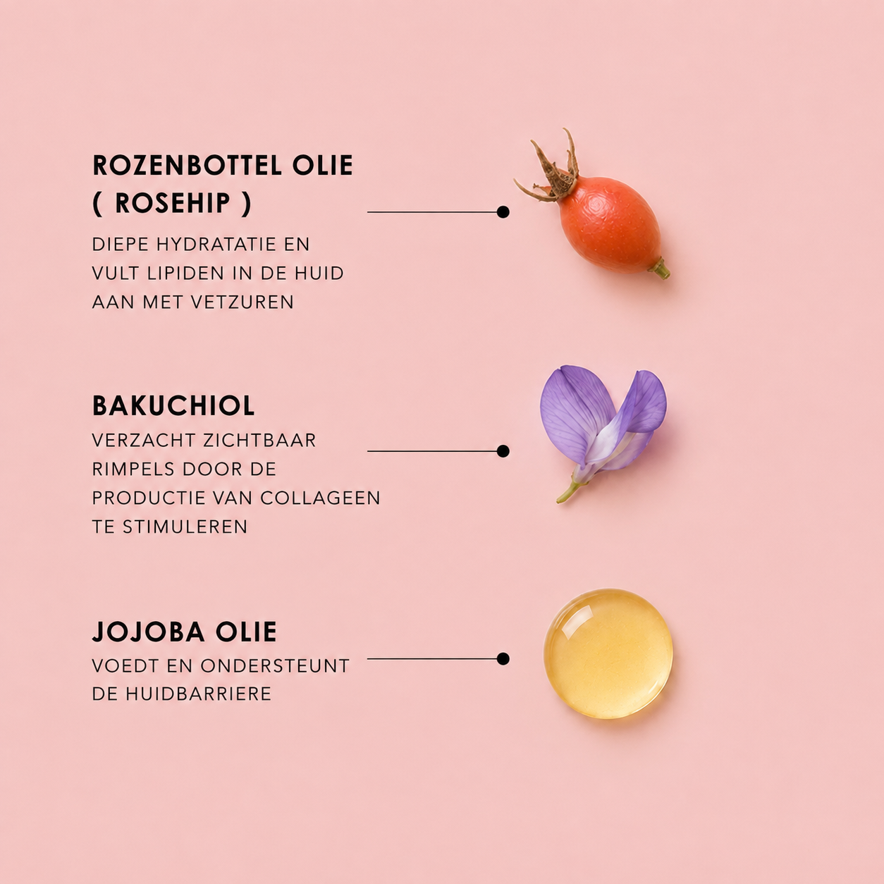 Glow Up Bakuchiol Retinol Alternative Anti-Rimpel oil serum